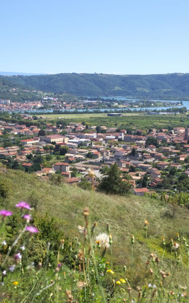 Saint Vallier's parade