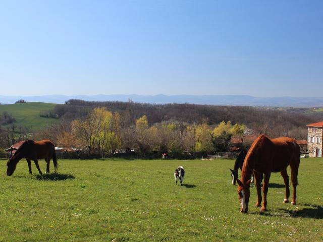 Landscape of the hike La tournée du Facteur