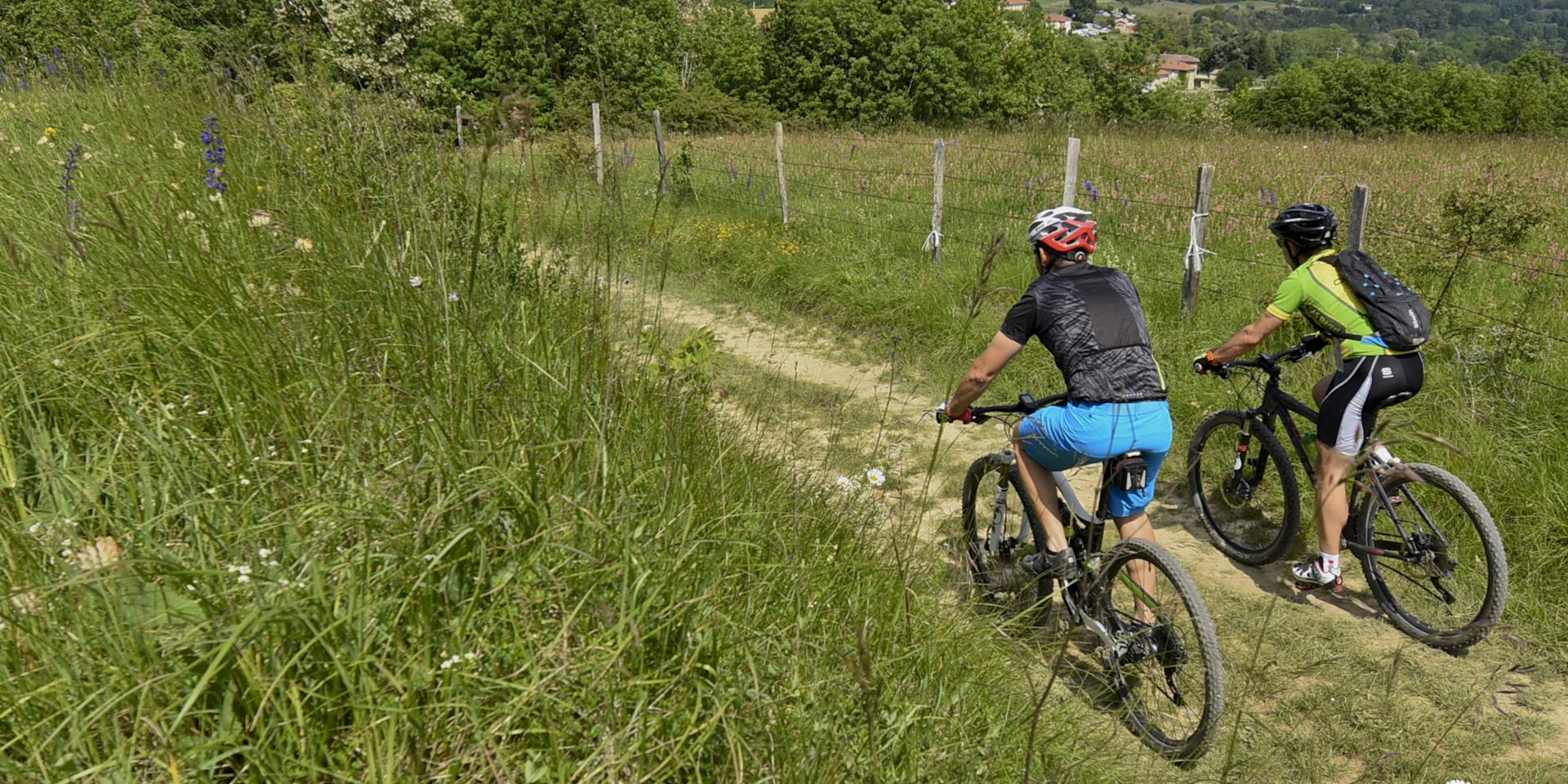 Mountain biking in the Drôme des collines in Saint Avit