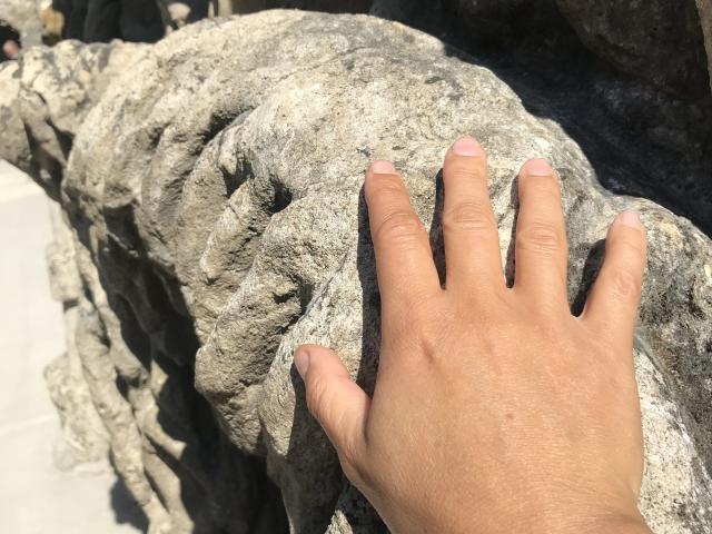 Ideal palace of the horse factor (detail)