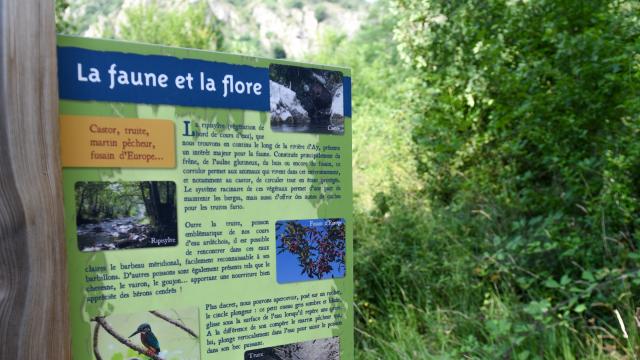 La riviére d’Ay à Sarras (Ardèche)