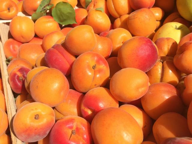Apricots at the market