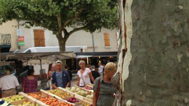 Market in Hauterives