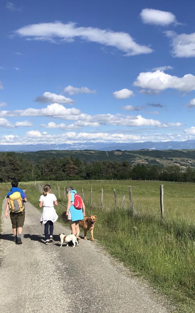 Randonnée à Arras/Rhône (Ardèche)