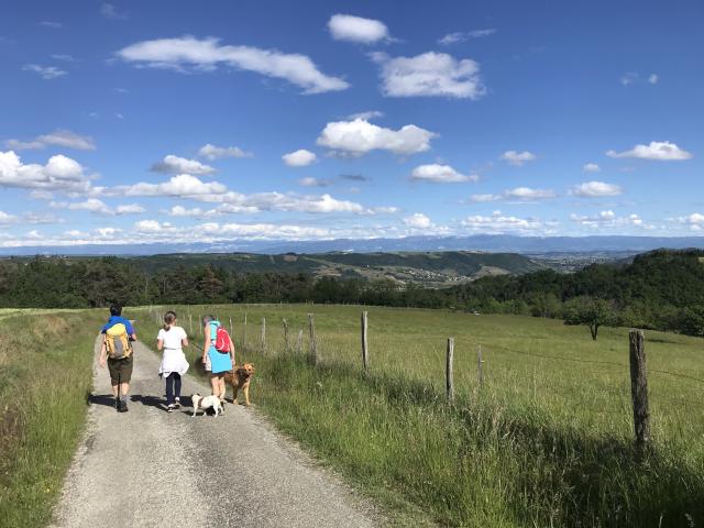 Randonnée à Arras/Rhône (Ardèche)
