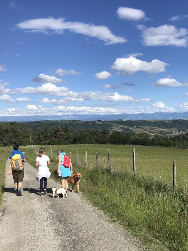 Hiking in Arras/Rhône (Ardèche)