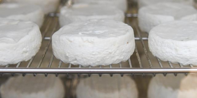 Picodon from the Drôme