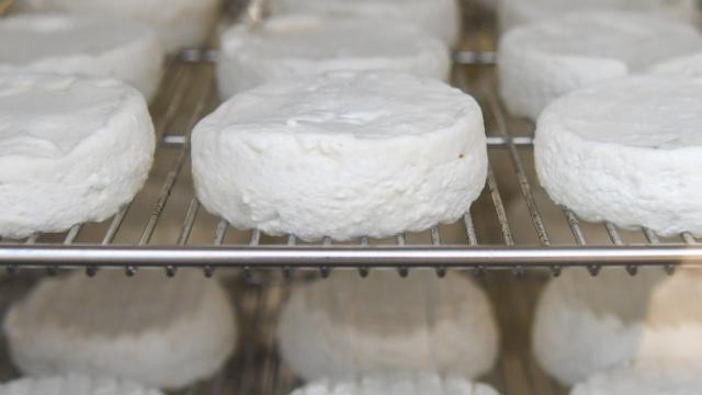 Picodon from the Drôme