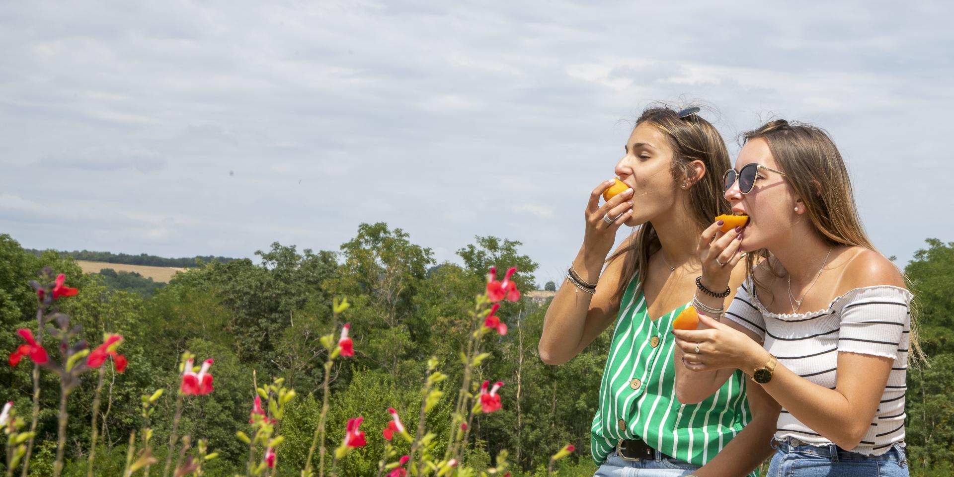 Tasting of local products
