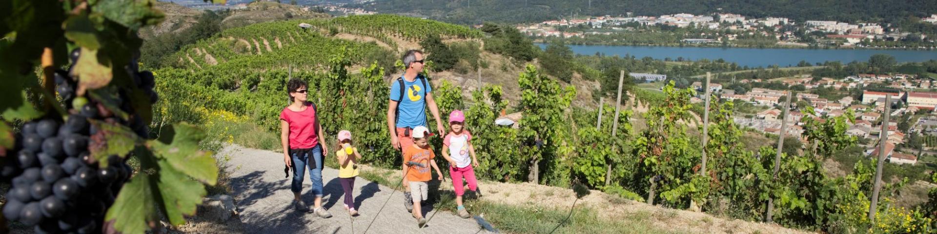 29792573 972028959617492 739772910889074688 N