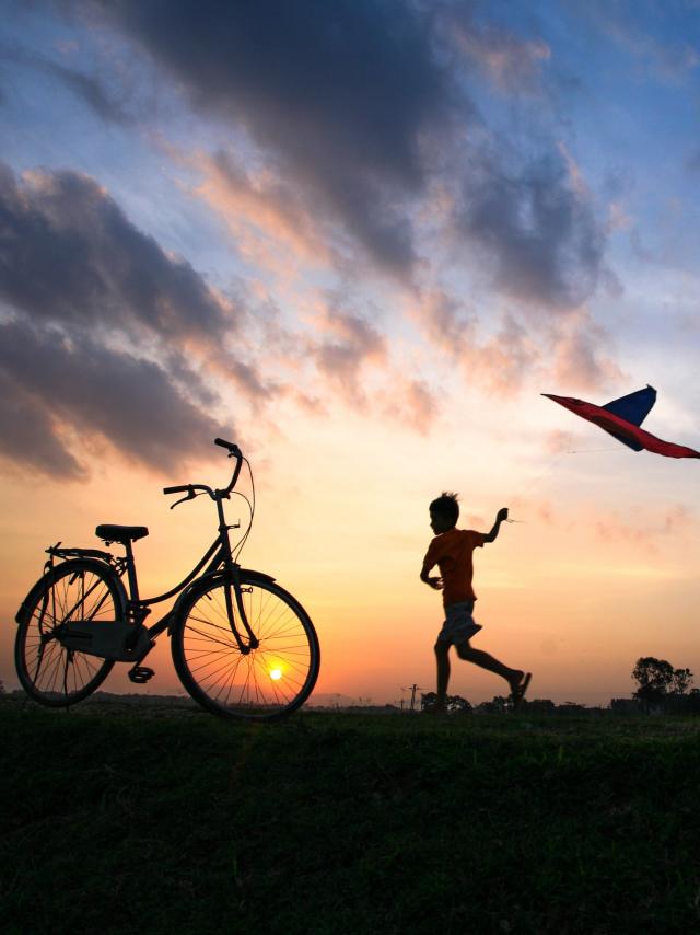 Sites, visits and activities bookable online in Drôme and Ardèche