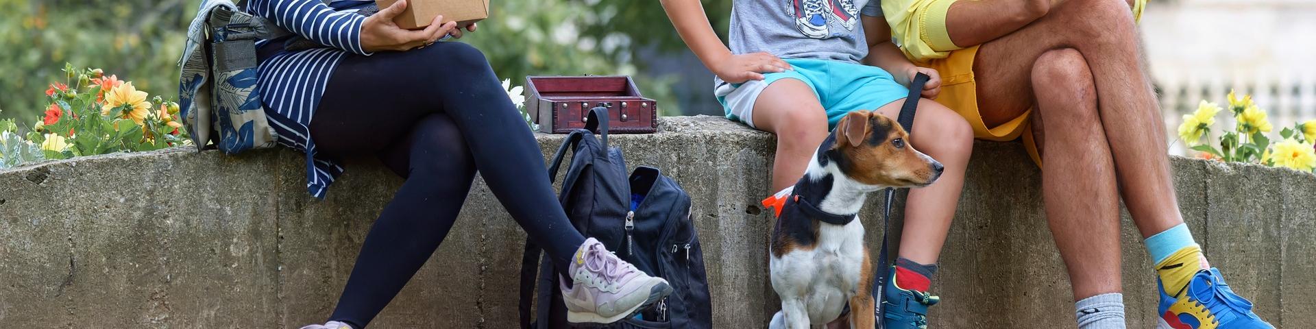 Vacances avec son chien