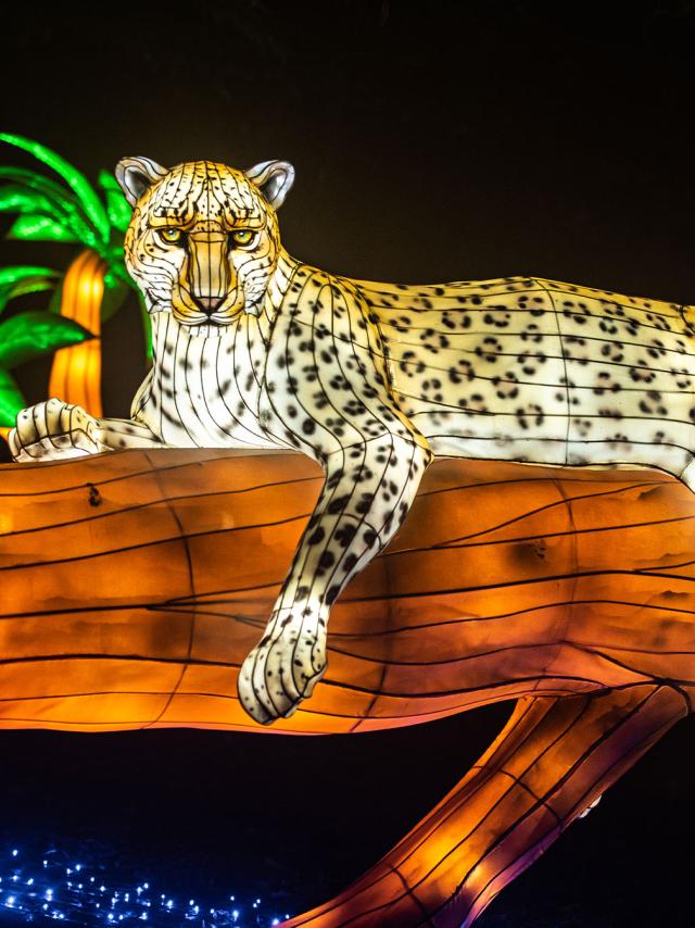 Lumières sauvages à Peaugres