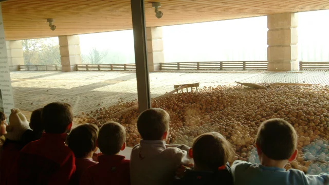 Le Grand Sechoir Ch Huret 2