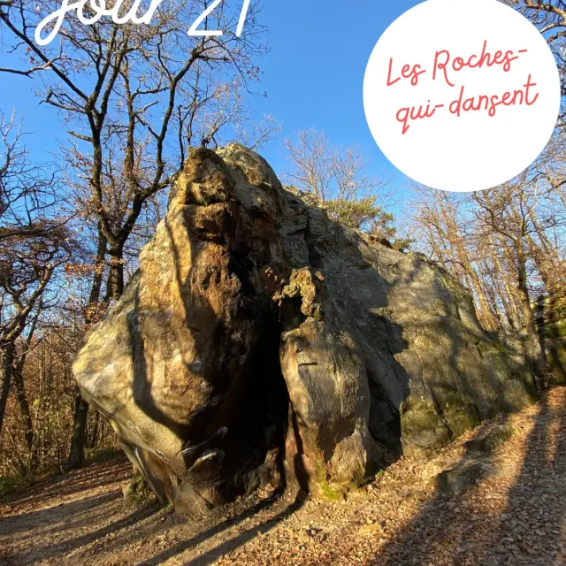 Instagram #autourdupalaisideal